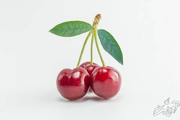 خاصیت گیلاس فواید گیلاس